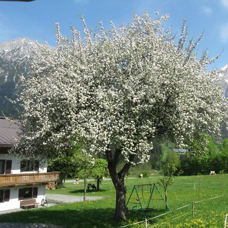 솔 Bauernhof Neu-Endfelden, Guenter Widauer 빌라 외부 사진