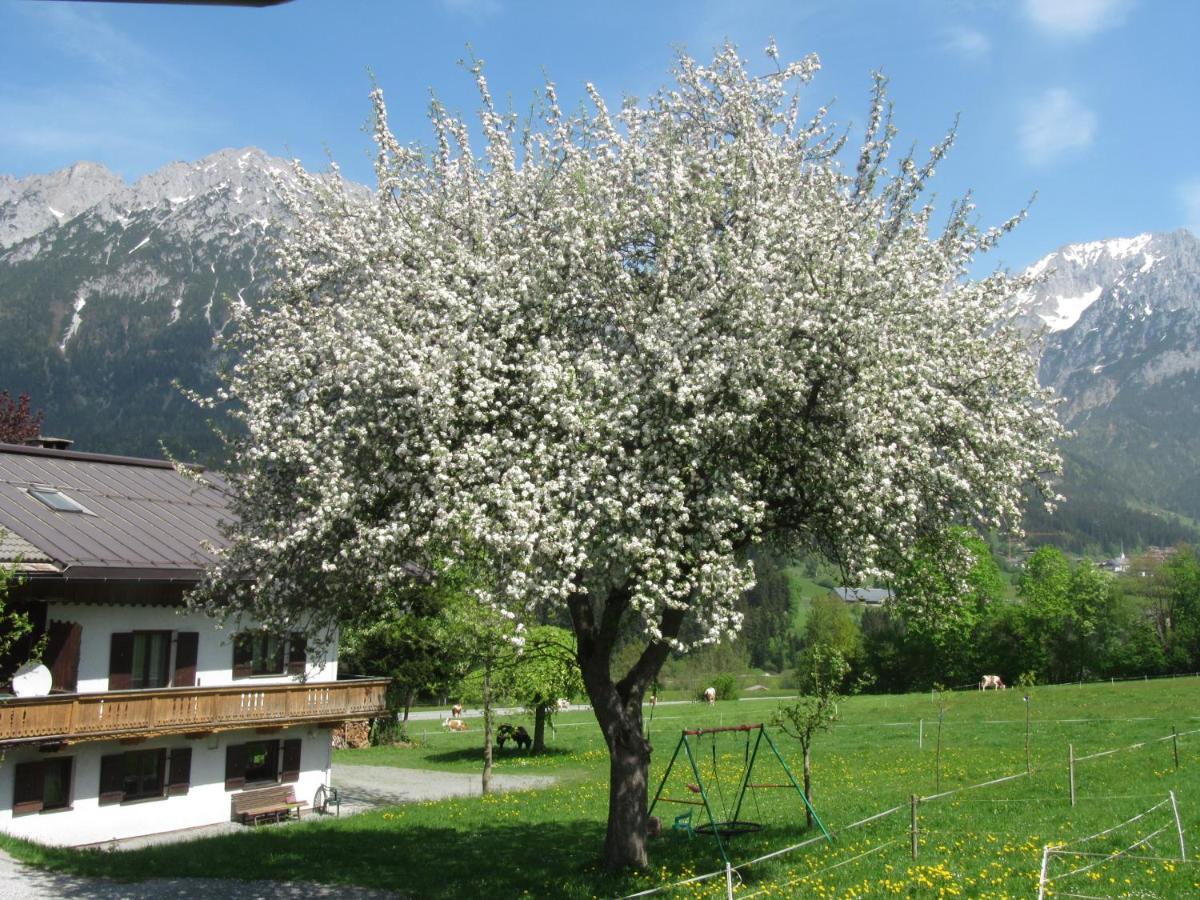 솔 Bauernhof Neu-Endfelden, Guenter Widauer 빌라 외부 사진